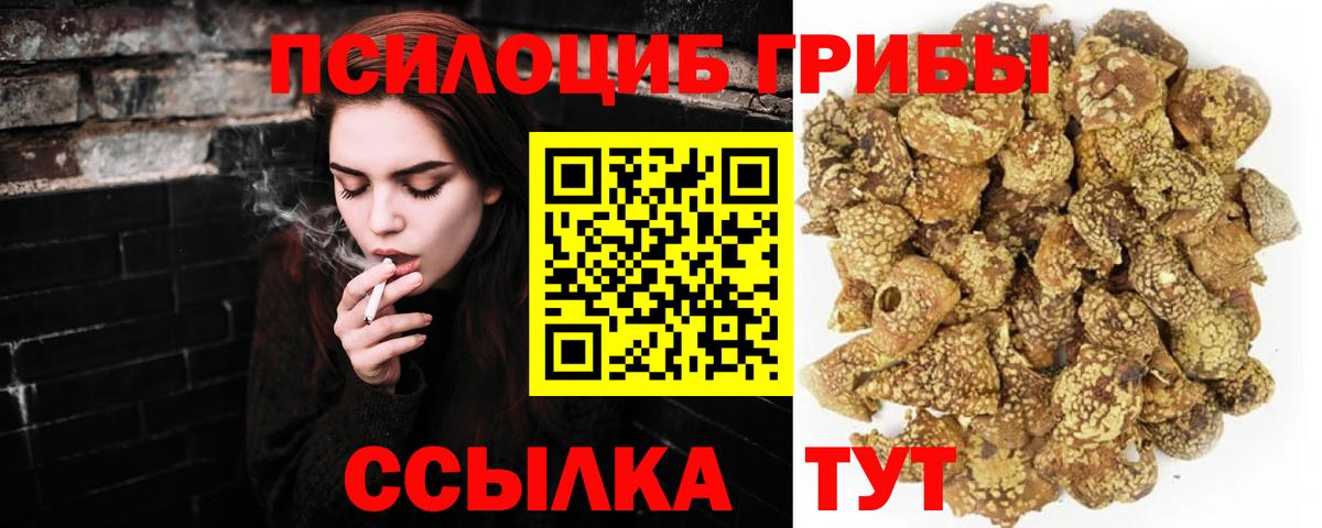 Псилоцибиновые грибы Cubensis Верхняя Пышма