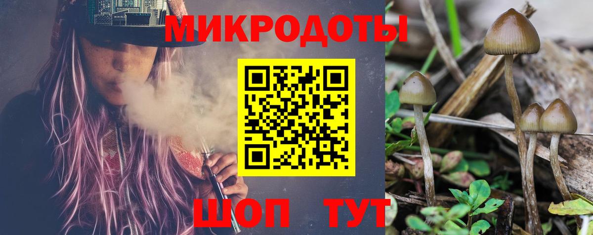 Галлюциногенные грибы Magic Shrooms  Вход с VPN  купить  сайты  Верхняя Пышма 